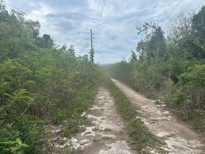 /international/bs/1-bullard-s-tarpum-bay-eleuthera-north-eleuthera-310103059473/