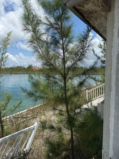 /international/bs/fringe-close-surey-fpo-grand-bahama-freeport-grand-bahama-freeport-310101897622/
