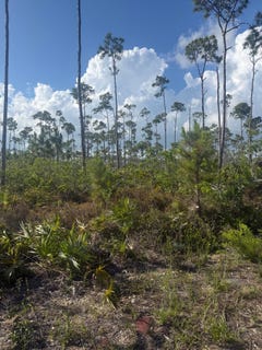 /international/bs/berwyn-place-grasmere-f-unit-2-grand-bahama-freeport-grand-bahama-freeport-310108325722/
