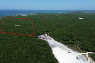 /international/bs/160-acres-burns-pond-eleuthera-north-eleuthera-310102033019/