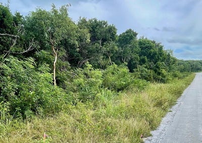 /international/bs/governor-s-harbour-unit-a1-eleuthera-north-eleuthera-310107706136/