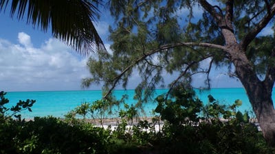 /international/bs/327g-97-long-island-long-island-310108371907/