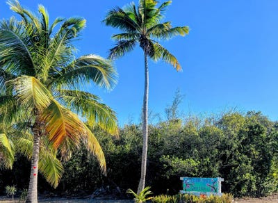 /international/bs/oleander-drive-eleuthera-south-eleuthera-310101202207/?lang=zh-tw