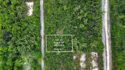/international/bs/bahama-palm-shores-lot-16-abaco-central-abaco-310108458523/