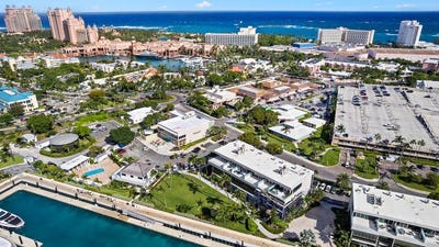 /international/bs/paradise-premium-foods-new-providence-paradise-island-new-providence-paradise-island-310103194146/
