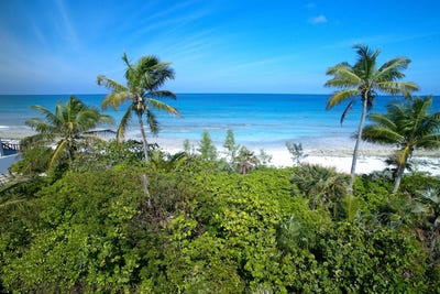 /international/bs/bank-s-road-beachfront-eleuthera-north-eleuthera-310106806642/