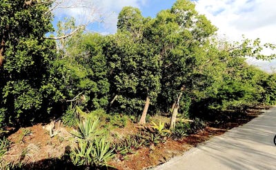 /international/bs/lot-r-27-palmetto-shores-eleuthera-north-eleuthera-310108431434/