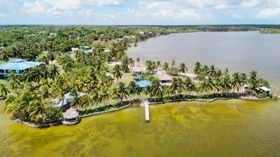 /international/bz/progresso-progresso-corozal-district-310104499281/