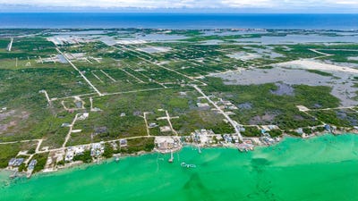 /international/bz/san-pedro-san-pedro-corozal-district-310106993215/