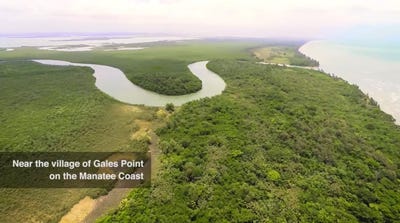 /international/bz/manatee-river-bar-mouth-gales-point-belize-district-gales-point-belize-district-gales-point-belize-city-310106116110/