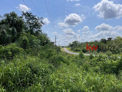 /international/bz/5-5-acres-developed-land-with-hot-springs-on-southern-hwy-big-falls-toledo-district-310104832423/