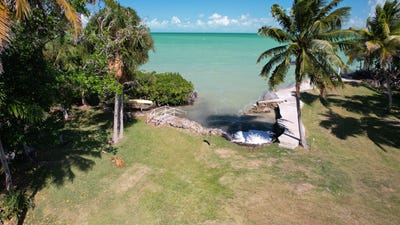 /international/bz/consejo-beach-trail-consejo-corozal-district-310107949129/