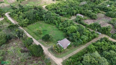 /international/bz/1713-43-4-n-8846-35-3-w-1713-43-4-n-8846-35-3-w-belmopan-cayo-belmopan-cayo-district-310103713469/