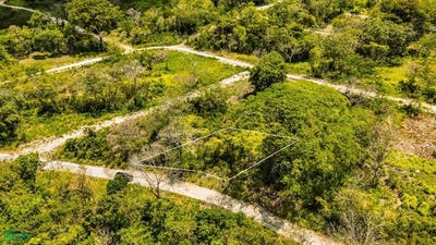 /international/bz/-bullet-tree-cayo-bullet-tree-cayo-district-310108289123/