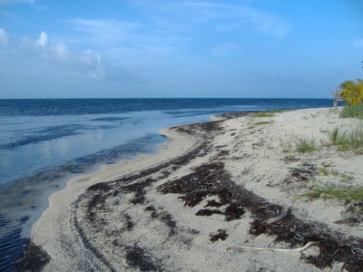 /international/bz/belize-city-belize-city-310106020677/