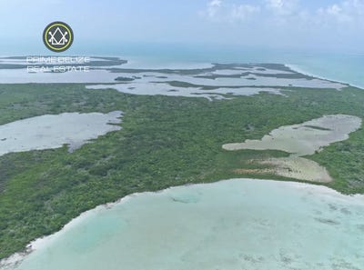 /international/bz/4324-wq-corozal-district-corozal-district-310104334345/