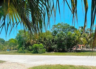 /international/bz/consejo-beach-trail-corozal-district-corozal-district-310101080256/?lang=en