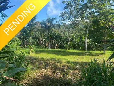 /international/bz/near-mile-21-hummimgbird-highway-belmopan-cayo-district-120096838732/