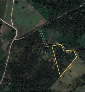 /international/bz/ask-agent-bullet-tree-falls-cayo-district-bullet-tree-falls-cayo-district-310106289137/