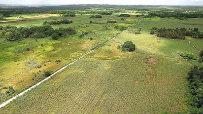 /international/bz/128-douglas-rural-road-block-1-san-pablo-orange-walk-district-310108969557/