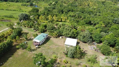 /international/bz/buena-vista-buena-vista-corozal-district-310107235784/