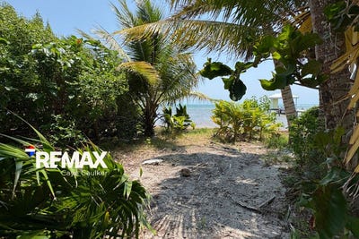 /international/bz/north-caye-caulker-caye-caulker-belize-district-caye-caulker-belize-district-310107834180/