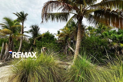 /international/bz/north-caye-caulker-caye-caulker-belize-district-caye-caulker-belize-district-310104251533/