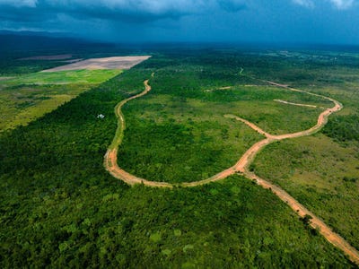 /international/bz/qmx7-j4-stann-creek-district-stann-creek-district-310106592495/
