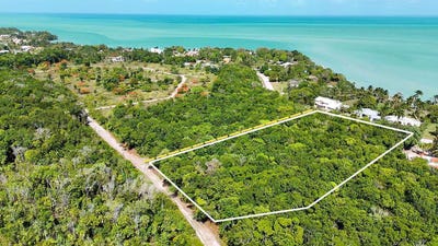 /international/bz/consejo-beach-trail-corozal-district-corozal-district-310104498774/