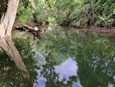 /international/bz/blue-creek-road-along-mafredi-creek-blue-creek-toledo-blue-creek-toledo-district-310093198765/?lang=en