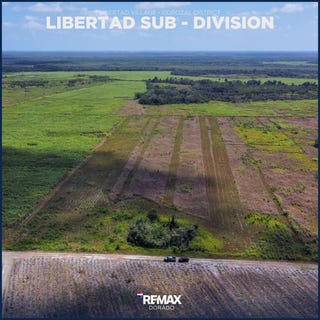 /international/bz/libertad-corozal-libertad-corozal-district-libertad-corozal-district-310100938742/