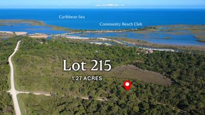 /international/bz/lot-no-215-red-rock-placencia-stann-creek-district-310106510606/