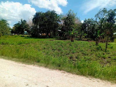 /international/bz/farmer-s-road-esperanza-cayo-district-esperanza-cayo-district-310106268891/