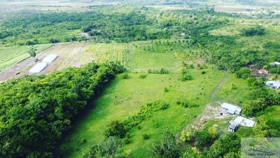 /international/bz/los-tambos-cayo-district-cayo-district-310107235664/