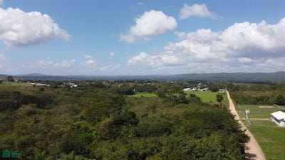 /international/bz/-santa-elena-cayo-santa-elena-cayo-district-310093198952/