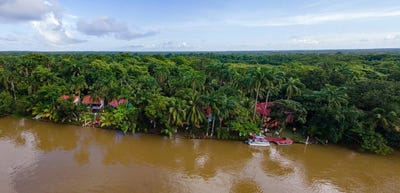 /international/bz/-banks-of-the-old-belize-river-belize-city-belize-city-310104833896/