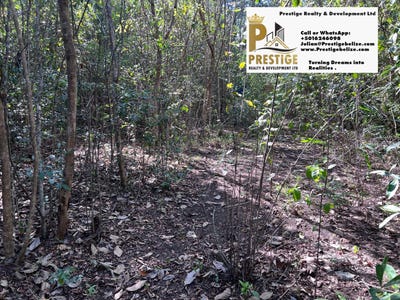 /international/bz/unnamed-road-corozal-district-corozal-district-310109122558/