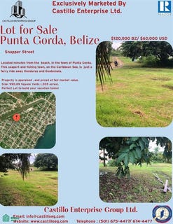 /international/bz/snapper-street-punta-gorda-airstrip-toledo-toledo-district-310101018822/?lang=zh-tw