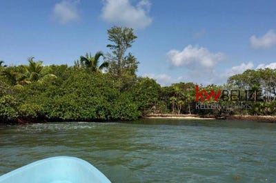 /international/bz/rocky-point-island-placencia-toledo-district-310104831147/