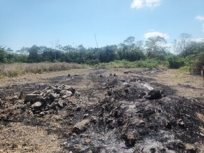 /international/bz/paraiso-corozal-district-310108377003/