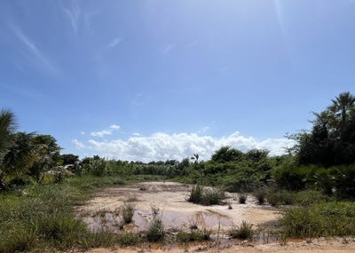/international/bz/sittee-river-stann-creek-district-310107375779/