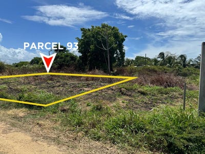 /international/bz/dangriga-town-dangriga-town-stann-creek-district-dangriga-town-stann-creek-district-310101135052/?lang=en
