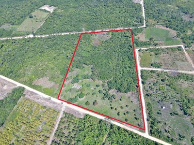 /international/bz/cayo-district-cayo-district-cayo-district-310106569635/