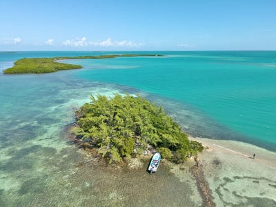 /international/bz/dangriga-dangriga-stann-creek-district-310106571530/