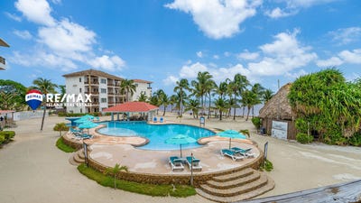 /international/bz/san-pedro-san-pedro-corozal-district-310108240445/
