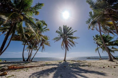 /international/bz/san-pedro-san-pedro-corozal-district-310108041638/