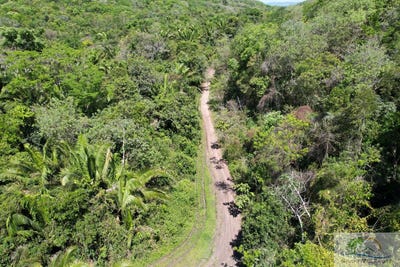 /international/bz/cristo-rey-cristo-rey-cayo-district-310107235693/