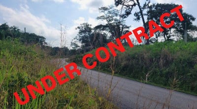 /international/bz/unnamed-road-toledo-district-toledo-district-120091994875/