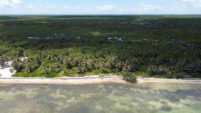 /international/bz/robles-point-area-ambergris-caye-belize-parcel-15642-or-parcel-17467-robles-point-ambergris-caye-310104833867/