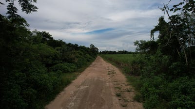 /international/bz/san-joaquin-corozal-district-310102729982/